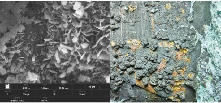 ��΢����Ӱ��ĳ���ܵ���ʴ���շ���