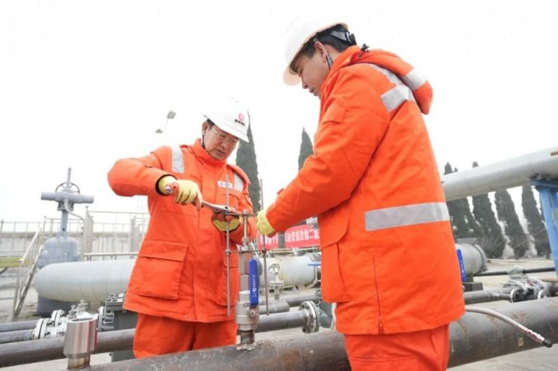 �����׸�����ܵ����������̼�ֳ�����˳�����